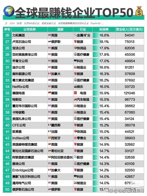 从2024年"财富"世界500强剔除金融行业的最赚